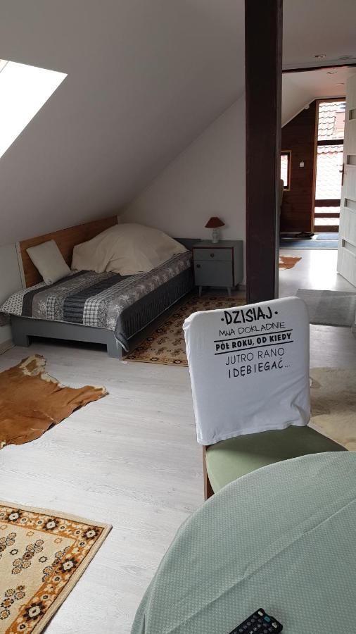 Turystyczny Apartament Na Poddaszu Skoczów Exteriör bild